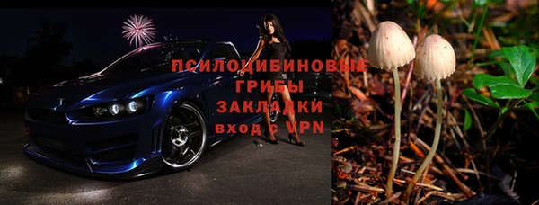 герыч Мегион