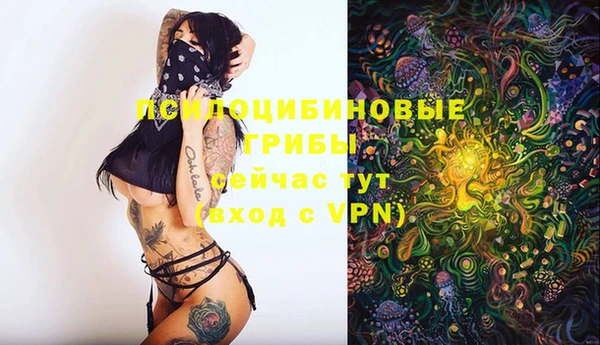 PSILOCYBIN Переславль-Залесский