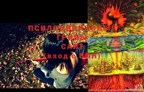PSILOCYBIN Переславль-Залесский