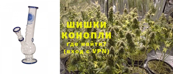 PSILOCYBIN Переславль-Залесский
