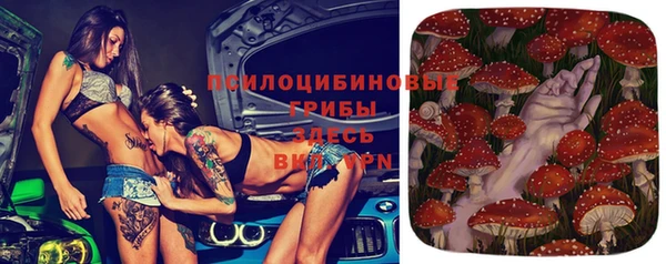эйфоретик Осинники