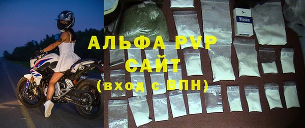 PSILOCYBIN Переславль-Залесский