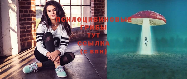 прущая мука Пересвет