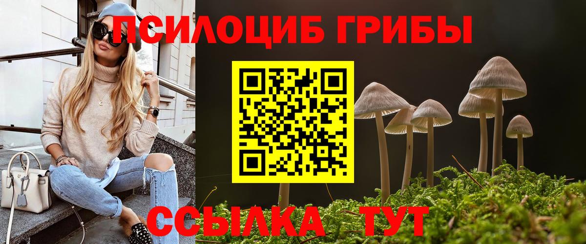 Галлюциногенные грибы Psilocybe  Вход с VPN  Лянтор 